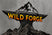 Wild Forge  - Home